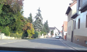 Albisheim Scenes 11.jpg